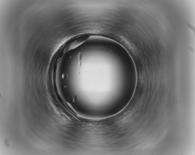 X0000096470532200801241431