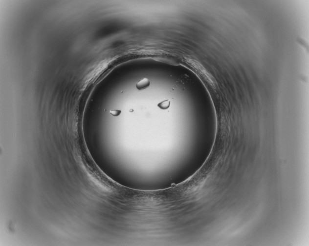 X0000096470533200801241431