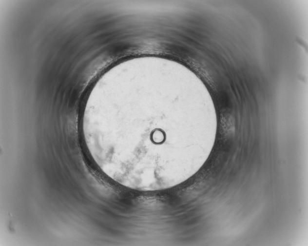 X0000096470534200801241431