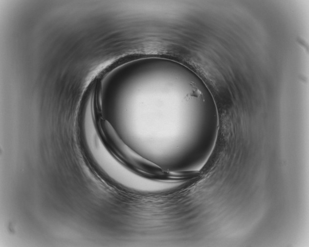 X0000096470536200801241431