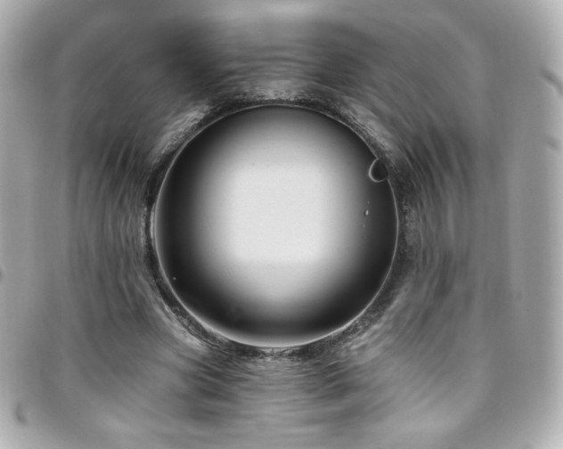 X0000096470537200801241431