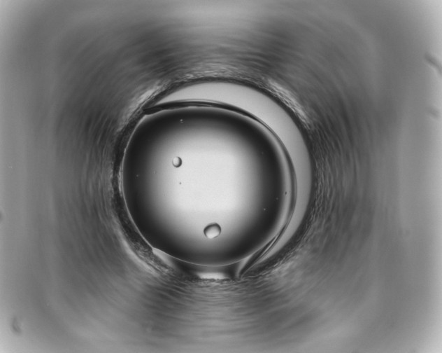 X0000096470538200801241431