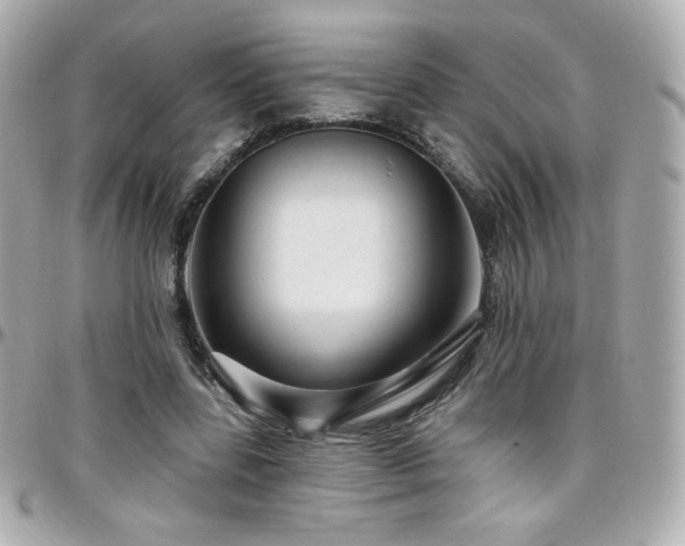 X0000096470539200801241431