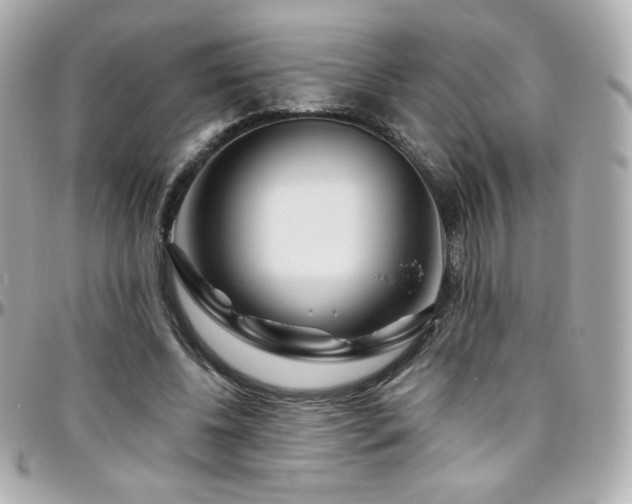 X0000096470540200801241431