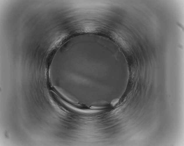 X0000096470542200801241431