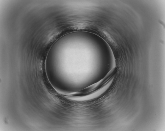 X0000096470543200801241431