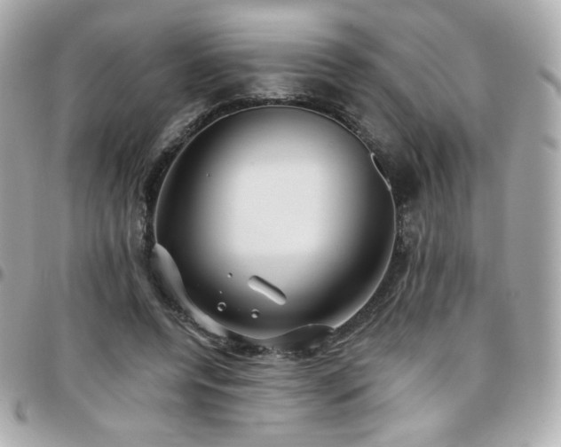 X0000096470544200801241431