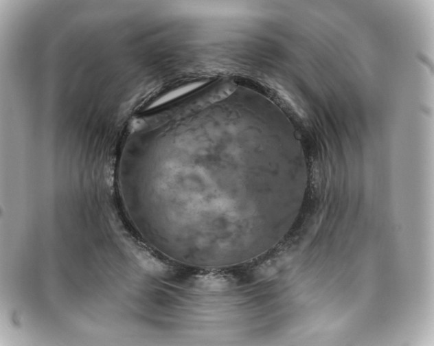 X0000096470545200801241431