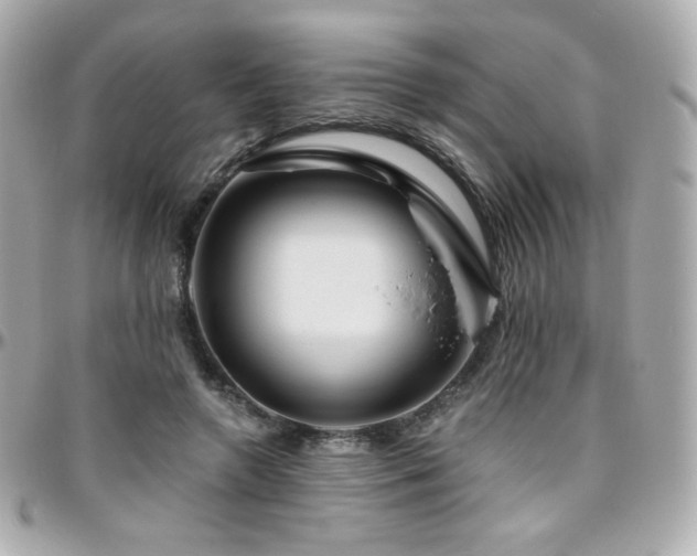 X0000096470546200801241431