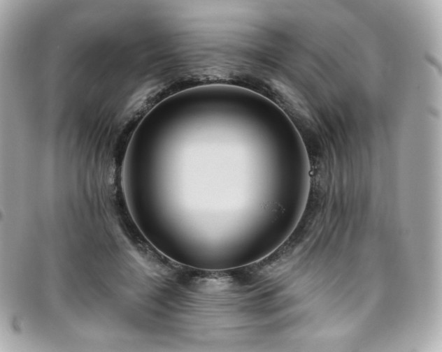 X0000096470548200801241431