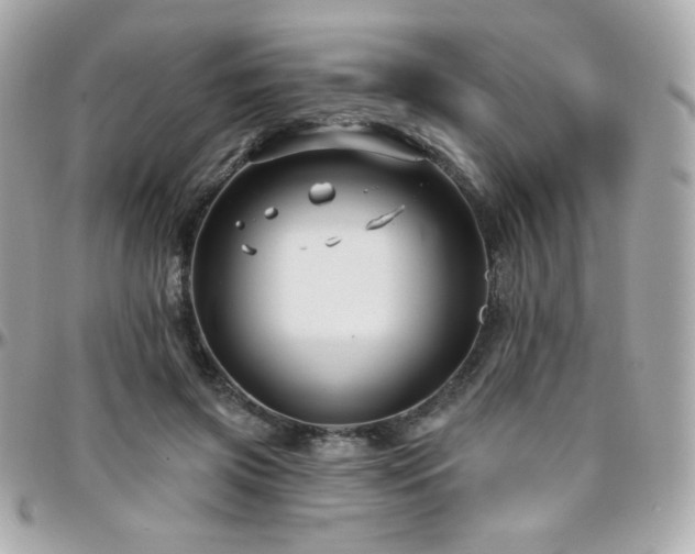 X0000096470549200801241431