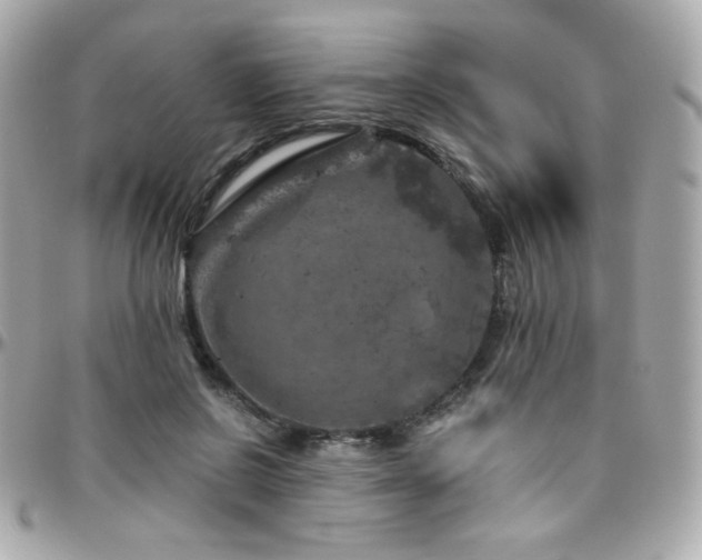 X0000096470550200801241431