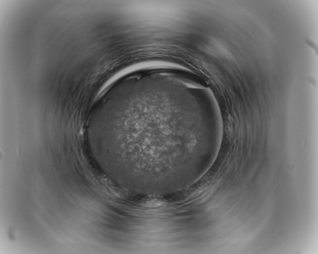 X0000096470551200801241431