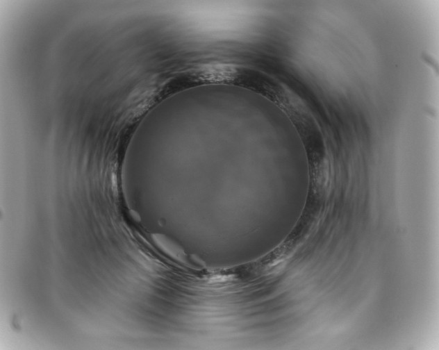 X0000096470553200801241431