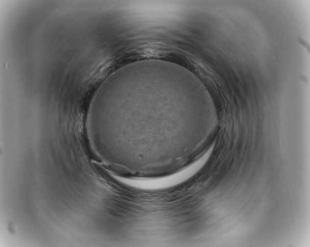 X0000096470554200801241431