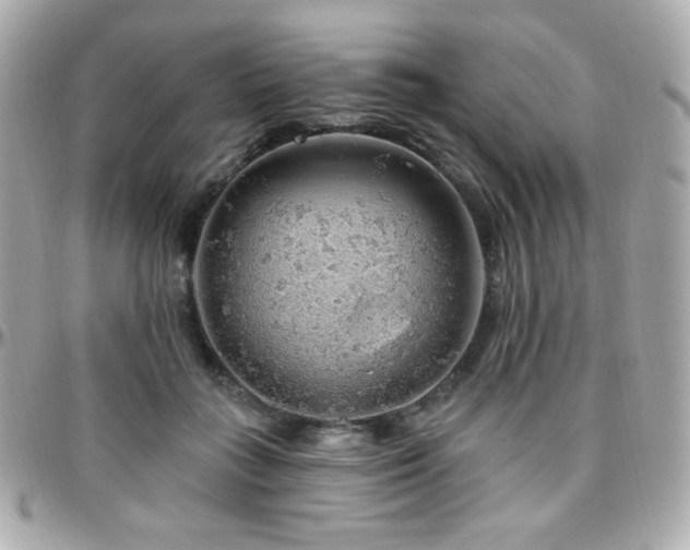 X0000096470555200801241431