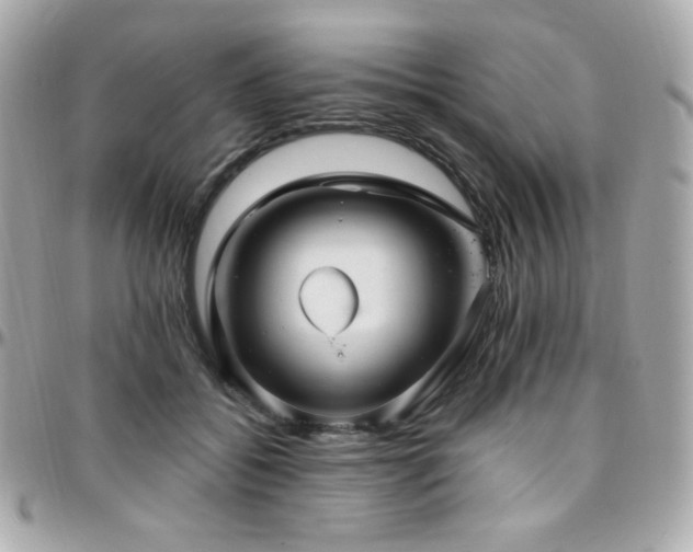 X0000096470556200801241431