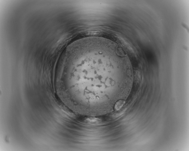 X0000096470557200801241431