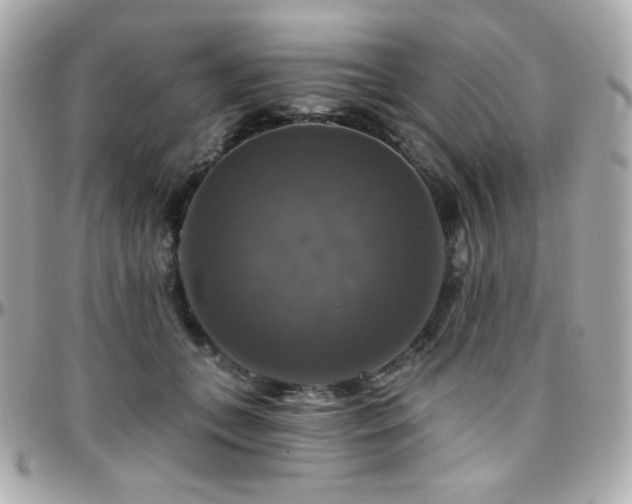 X0000096470559200801241431