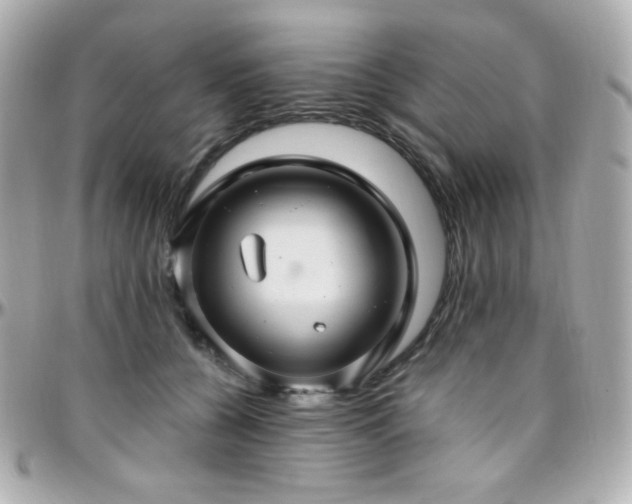 X0000096470560200801241431