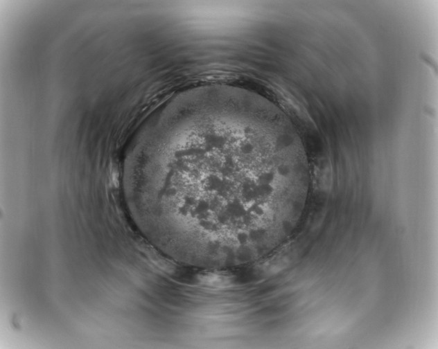 X0000096470561200801241431