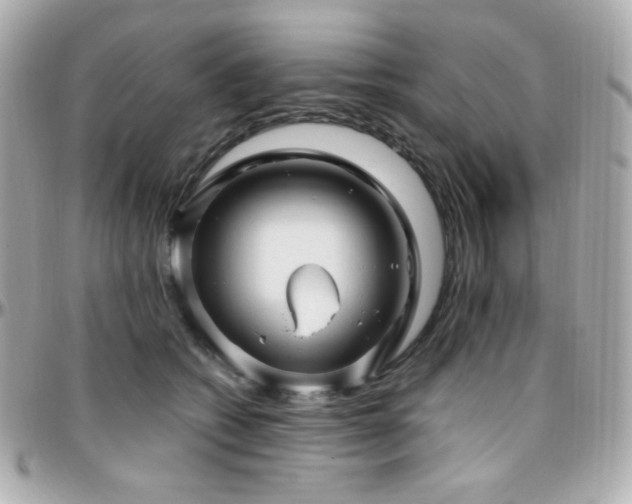 X0000096470562200801241431