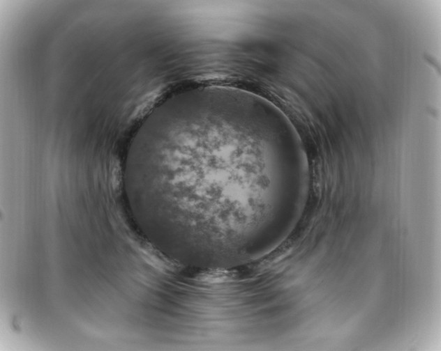 X0000096470563200801241431