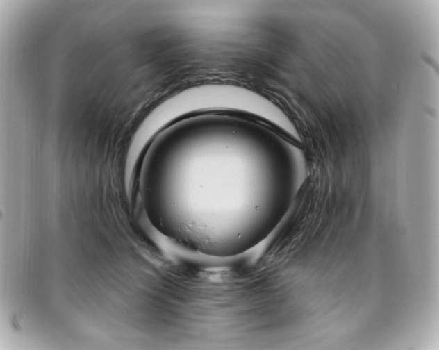 X0000096470564200801241431