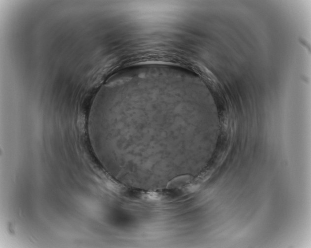 X0000096470565200801241431