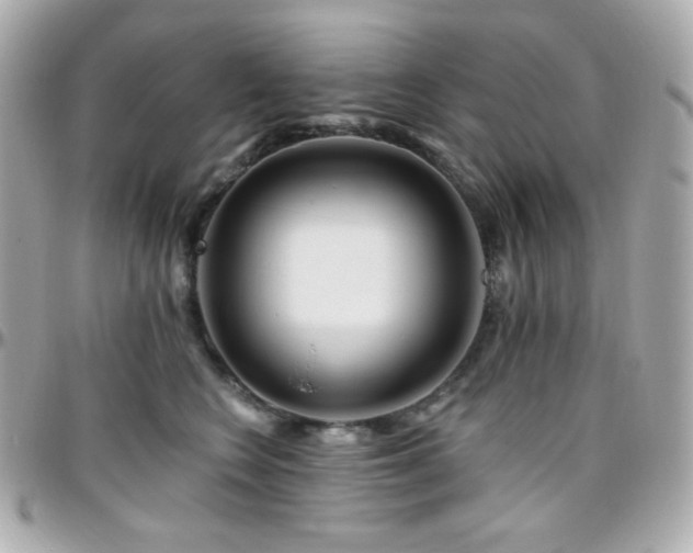 X0000096470566200801241431