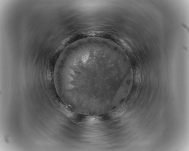 X0000096470569200801241431