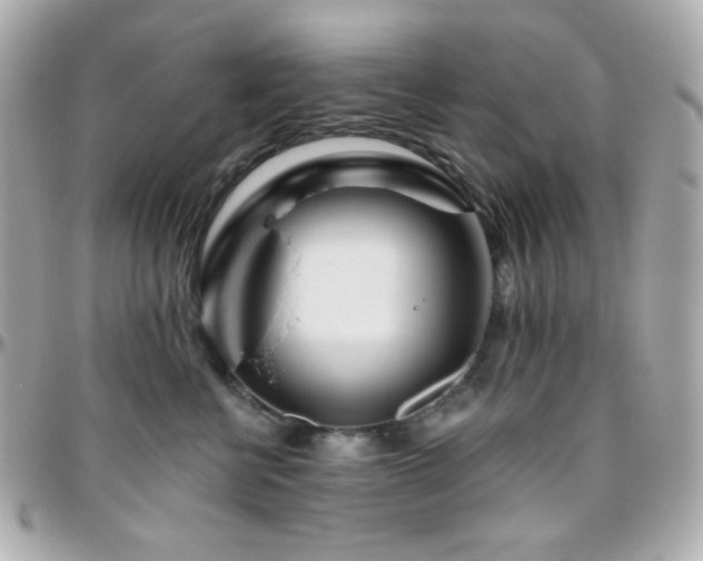 X0000096470570200801241431