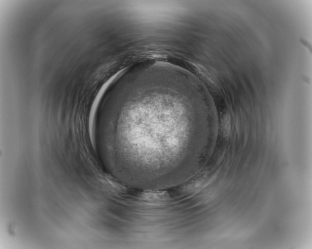 X0000096470571200801241431