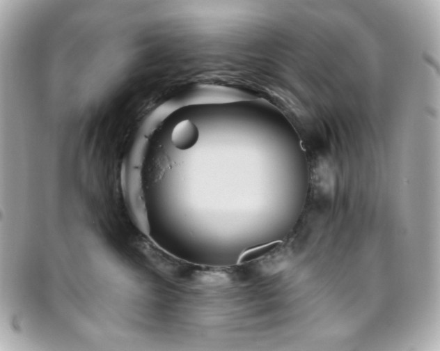 X0000096470572200801241431