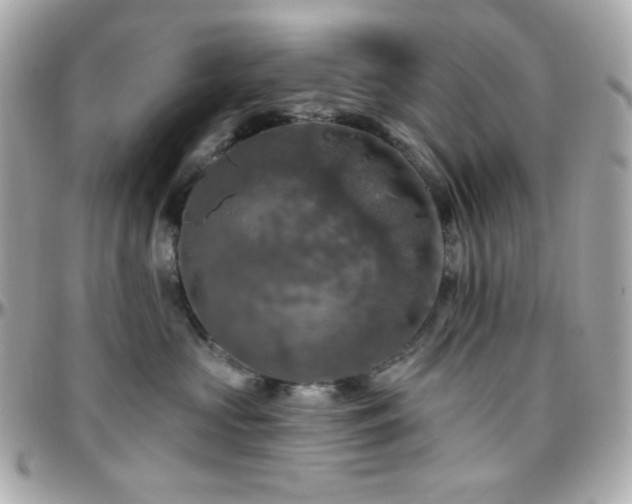 X0000096470573200801241431