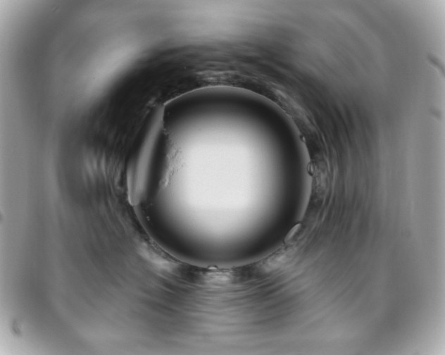 X0000096470574200801241431