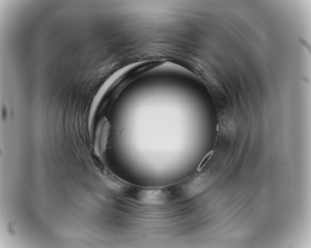 X0000096470575200801241431