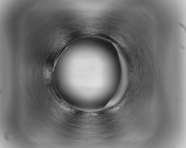 X0000096470576200801241431