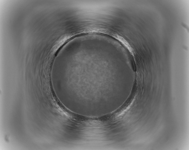 X0000096470577200801241431