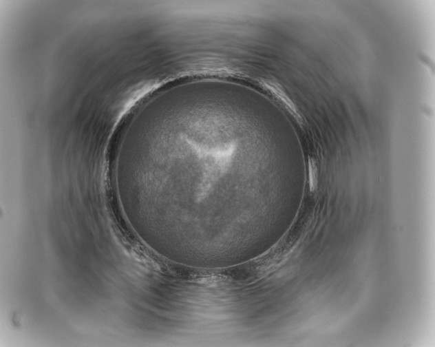 X0000096470579200801241431