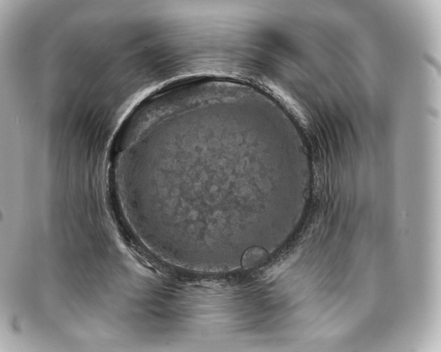 X0000096470580200801241430