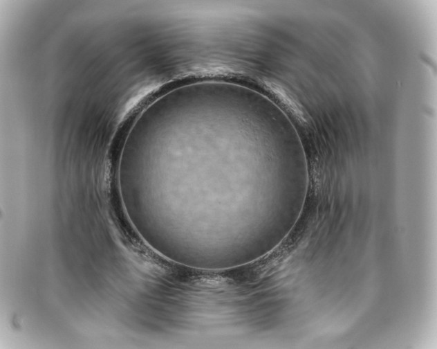 X0000096470583200801241430