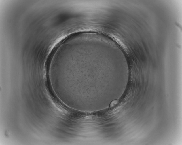 X0000096470584200801241430