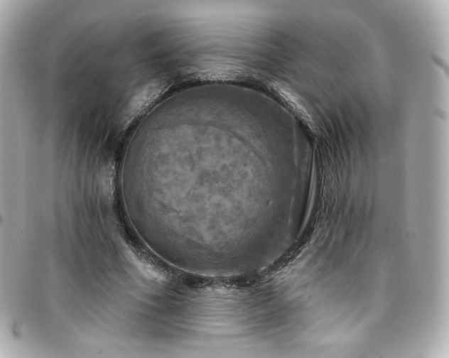 X0000096470586200801241430