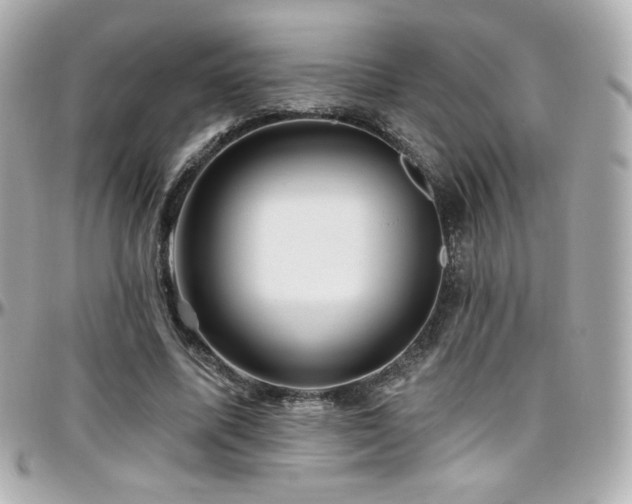 X0000096470587200801241430