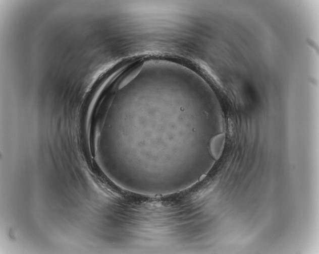 X0000096470588200801241430