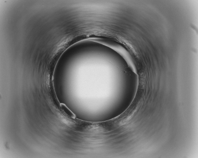 X0000096470589200801241430