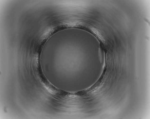 X0000096470590200801241430