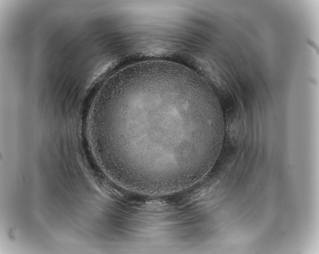 X0000096470591200801241430