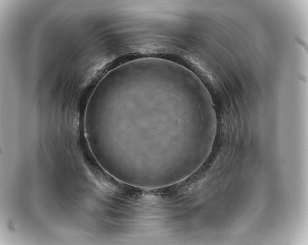 X0000096470592200801241430